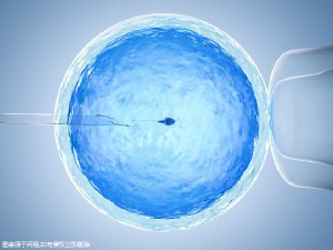 借卵代孕哪里做的最好生殖中心